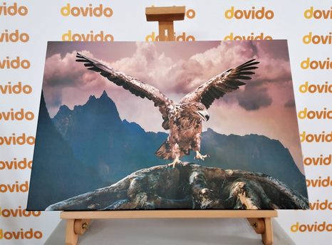 ΕΙΚΌΝΑ ΑΕΤΟΎ ΜΕ ΑΠΛΩΜΈΝΑ ΦΤΕΡΆ ΠΆΝΩ ΑΠΌ ΤΑ ΒΟΥΝΆ - ΠΊΝΑΚΕΣ ΖΏΩΝ - ΠΊΝΑΚΕΣ