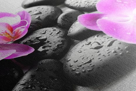 OBRAZ KOUZELNÁ SOUHRA KAMENŮ A ORCHIDEJE - OBRAZY FENG SHUI - OBRAZY