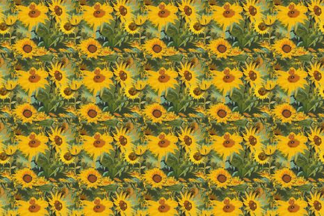 SELBSTKLEBENDE TAPETE SONNENBLUMEN IN FREIER NATUR - SELBSTKLEBENDE TAPETEN - TAPETEN