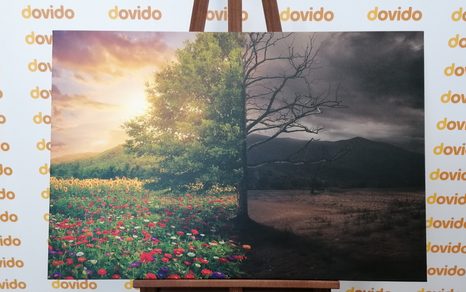 SLIKA DVE PODOBI DREVESA - SLIKE NARAVE IN POKRAJINE - SLIKE