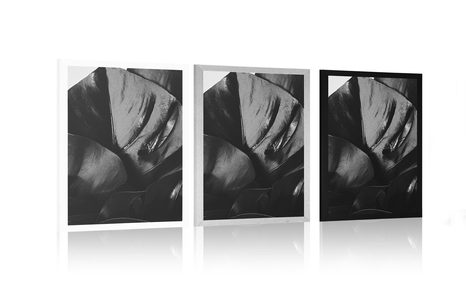 POSTER MONSTERA IN BLACK AND WHITE - BLACK AND WHITE - POSTERS