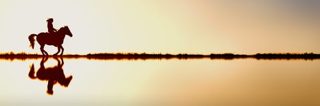 SLIKA JEZDEC NA KONJU - SLIKE ŽIVALI - SLIKE