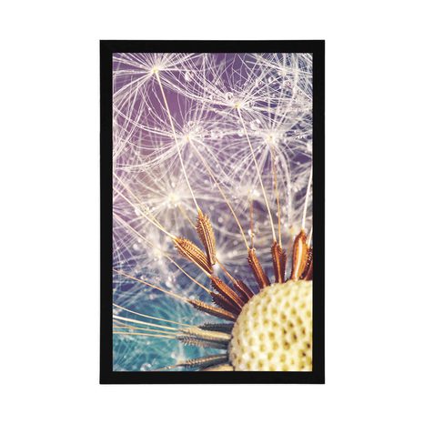 POSTER DETAILLIERTE PUSTEBLUME - BLUMEN - POSTER