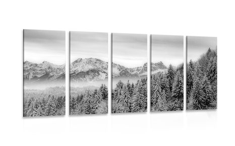 QUADRO IN 5 PARTI MONTAGNA GHIACCIATA IN BIANCO E NERO - QUADRI BIANCO E NERO - QUADRI