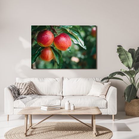 OBRAZ ČERSTVÉ JABLKA NA VĚTVI - OBRAZY JÍDLA A NÁPOJE - OBRAZY