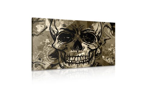 KÉP KOPONYA SZÉPIA KIVITELBEN - FEKETE-FEHÉR KÉPEK - KÉPEK