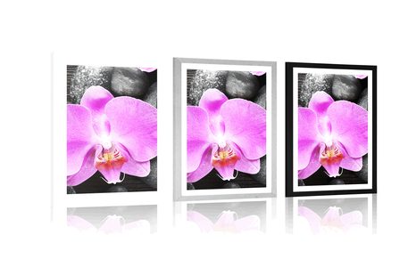 POSTER – MAGNIFICA ORCHIDEA E PIETRE - FENG SHUI - POSTER
