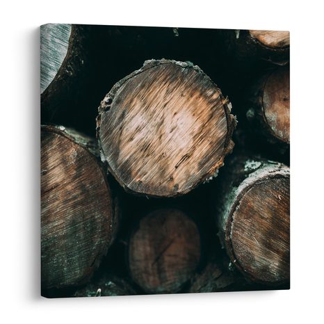 QUADRO SU TELA – STRUTTURA DEI TRONCHI DI FORESTA - QUADRI ALBERI E FOGLIE - STAMPE E QUADRI