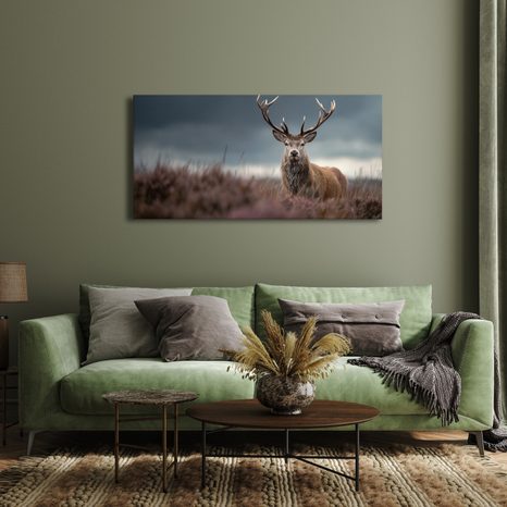 OBRAZ ZIMNÍ POHÁDKA S JELENEM - OBRAZY JELENI - OBRAZY