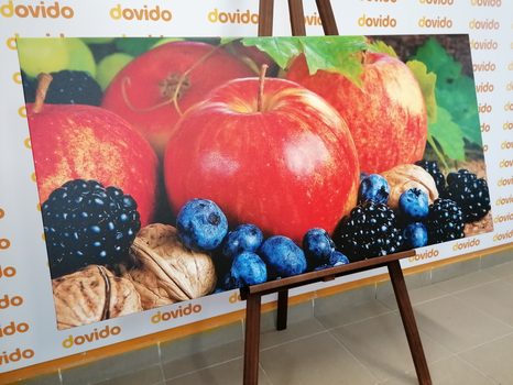 WANDBILD HERBSTERNTE - BILDER VON ESSEN UND GETRÄNKEN - BILDER