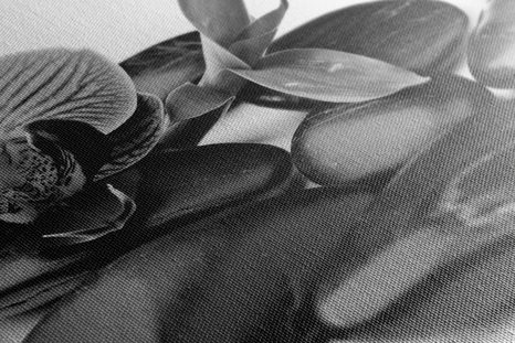 OBRAZ KAMIENIE DO MASAŻU WELLNESS W KOLORZE CZARNYM I BIAŁYM - OBRAZY CZARNO-BIAŁE - OBRAZY