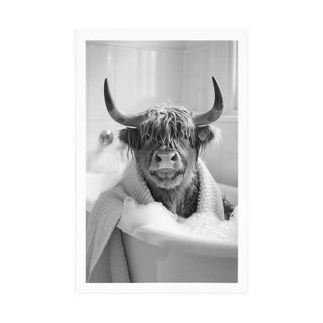 PLAKÁT KRÁVA VE VANĚ - BUVOLY A KRÁVY - PLAKÁTY