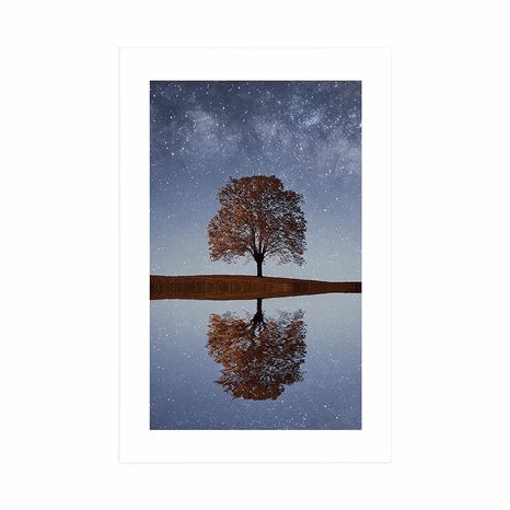 POSTER – CIELO STELLATO SOPRA UN ALBERO SOLITARIO - NATURA - POSTER