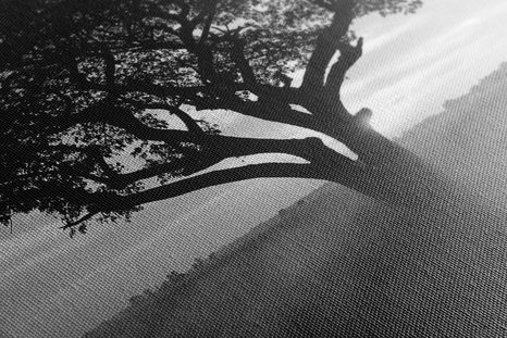 WANDBILD ELEFANT BEIM SONNENAUFGANG IN SCHWARZ-WEISS - SCHWARZ-WEISSE BILDER - BILDER