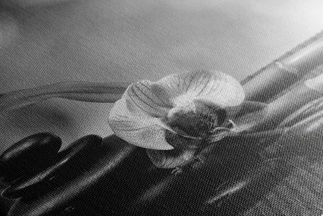 QUADRO SU TELA – NATURA MORTA FENG SHUI IN BIANCO E NERO - QUADRI BIANCO E NERO - STAMPE E QUADRI