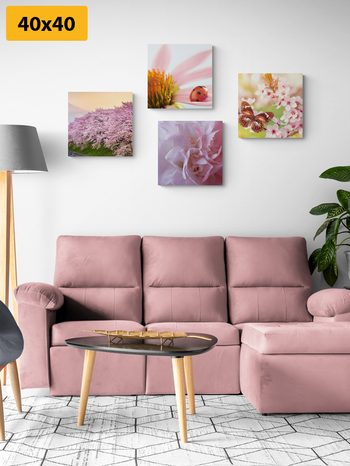 SET OBRAZŮ ROZKVĚT PŘÍRODY - SESTAVY OBRAZŮ - OBRAZY