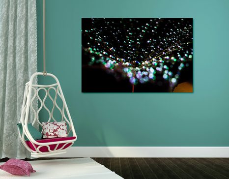 SLIKA KAPLJICE VODE NA REGRATOVI LUČKI - SLIKE ROŽ - SLIKE