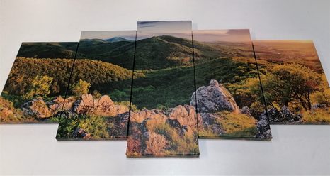 5-TEILIGES WANDBILD IN SONNENLICHT GETAUCHTE NATUR - BILDER VON NATUR UND LANDSCHAFT - BILDER