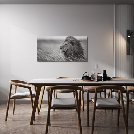 OBRAZ MAJESTÁTNÍ LEV V PŘÍRODĚ - OBRAZY LVI A TYGŘI - OBRAZY