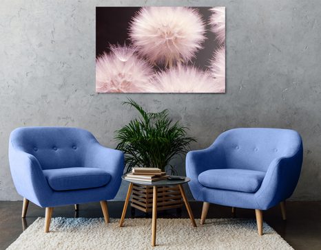 OBRAZ PAMPELIŠKA NA TMAVÉM PODKLADU - OBRAZY KVĚTŮ - OBRAZY