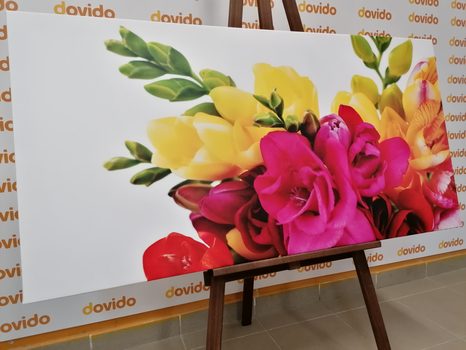 OBRAZ KYTICE FRÉZIÍ - OBRAZY KVĚTŮ - OBRAZY