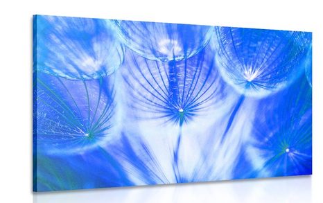 CANVAS PRINT DANDELION IN A BLUE DESIGN - PICTURES FLOWERS - PICTURES