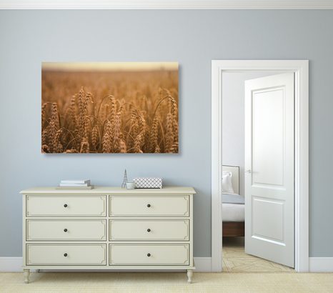 OBRAZ POLE ZBOŻOWE - OBRAZY PRZYRODY I KRAJOBRAZY - OBRAZY