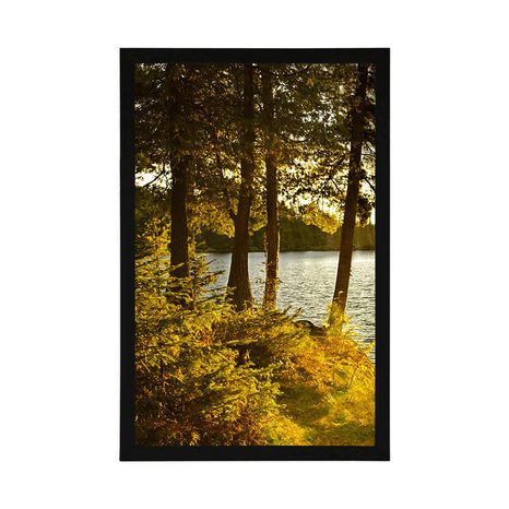 POSTER VIEW OF THE LAKE - NATURE - POSTERS