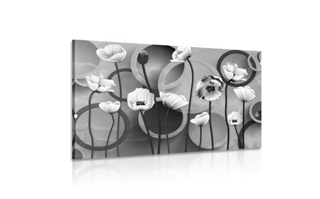 ΕΙΚΌΝΑ ΠΑΠΑΡΟΎΝΕΣ ΣΕ ΑΦΗΡΗΜΈΝΟ ΦΌΝΤΟ ΣΕ ΑΣΠΡΌΜΑΥΡΟ - ΠΊΝΑΚΕΣ ΑΣΠΡΌΜΑΥΡΕΣ - ΠΊΝΑΚΕΣ