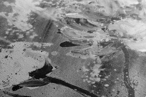 ΖΩΓΡΑΦΙΚΉ ΜΕ ΛΟΥΛΟΎΔΙΑ ΣΕ ΜΑΎΡΟ & ΆΣΠΡΟ - ΠΊΝΑΚΕΣ ΑΣΠΡΌΜΑΥΡΕΣ - ΠΊΝΑΚΕΣ