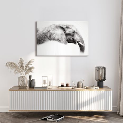 OBRAZ ELEGANTNÍ SLONÍ PROFIL - OBRAZY SLONI - OBRAZY