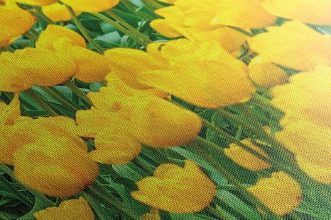 КАРТИНА НА ПЛАТНО – ГРАДИНА ПЪЛНА С ЛАЛЕТА - КАРТИНИ С ЦВЕТЯ - КАРТИНИ