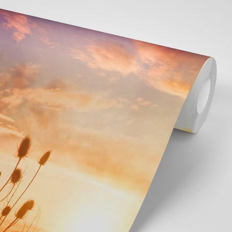 CARTA DA PARATI AUTOADESIVA – STELI D'ERBA NEL CAMPO - CARTA DA PARATI AUTOADESIVE - CARTA DA PARATI