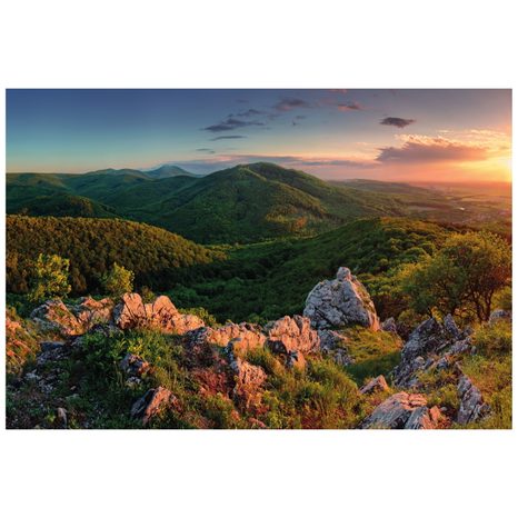 FOTOTAPETA PŘÍRODA ZALITÁ SLUNCEM - TAPETY PŘÍRODA - TAPETY