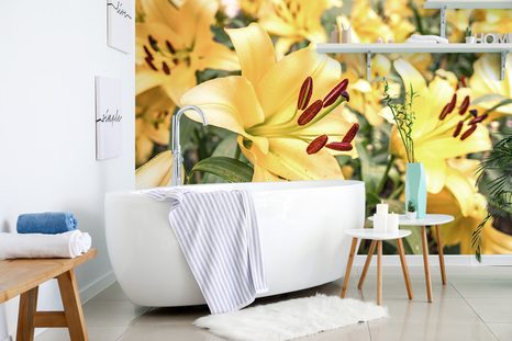 FOTOTAPETE GELBE LILIE - TAPETEN MIT BLUMENMOTIVEN - TAPETEN