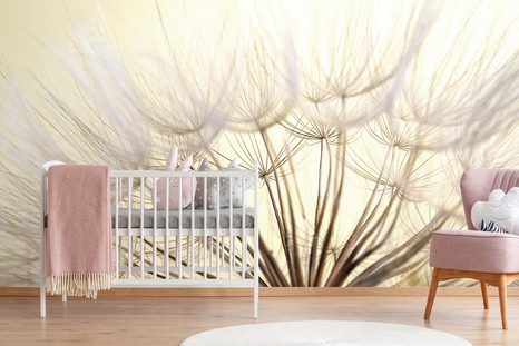 PAPIER PEINT PANORAMIQUE – PISSENLIT - PAPIERS PEINTS - 🔥 VENTE TOTALE