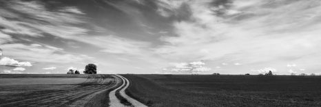WANDBILD WUNDERSCHÖNE LANDSCHAFT IN SCHWARZ-WEISS - SCHWARZ-WEISSE BILDER - BILDER