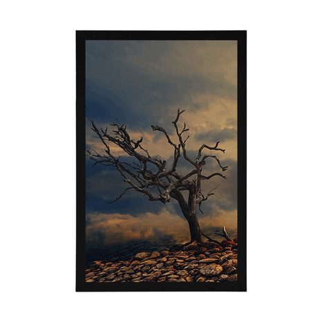 PLAKÁT VYSCHLÝ STROM - PŘÍRODA - PLAKÁTY