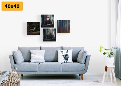 SET OBRAZŮ KOUZLO LESNÍCH ZVÍŘAT - SESTAVY OBRAZŮ - OBRAZY