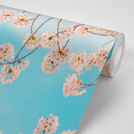 FOTOTAPETA SOCHA BUDHY S TŘEŠNÍ - TAPETY FENG SHUI - TAPETY