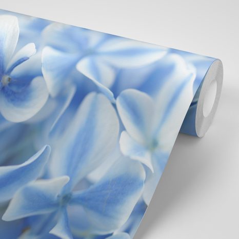 CARTA DA PARATI AUTOADESIVA – ORTENSIE CELESTI - CARTA DA PARATI AUTOADESIVE - CARTA DA PARATI