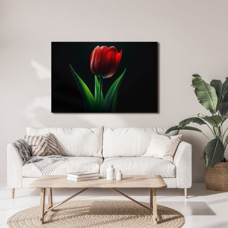 OBRAZ ČERVENÁ TULIPÁNOVÁ ELEGANCE - OBRAZY TULIPÁN - OBRAZY