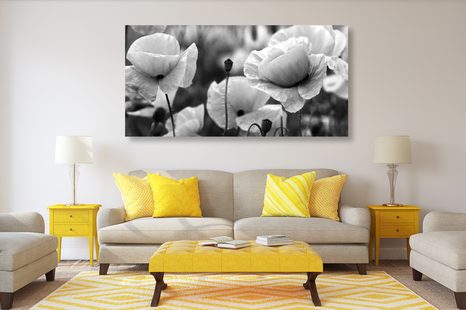 OBRAZ KRÁSNÉ POLE VLČÍCH MÁKŮ V ČERNOBÍLÉM PROVEDENÍ - ČERNOBÍLÉ OBRAZY - OBRAZY