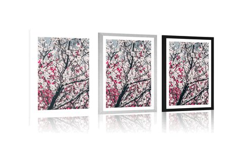 AFFICHE – FLEURS DE PÊCHE - FLEURS - AFFICHES