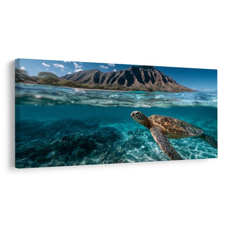 OBRAZ PODMOŘSKÝ SVĚT A ŽELVA - OBRAZY MOŘŠTÍ ŽIVOČICHOVÉ - OBRAZY