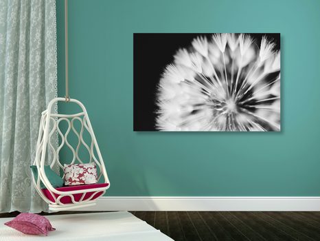 OBRAZ PAMPELIŠKA V ČERNOBÍLÉM PROVEDENÍ - ČERNOBÍLÉ OBRAZY - OBRAZY