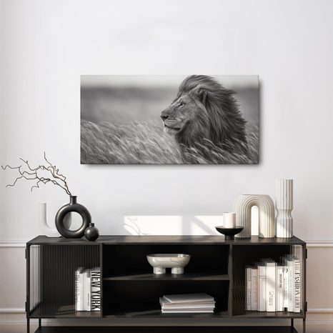 OBRAZ MAJESTÁTNÍ LEV V PŘÍRODĚ - OBRAZY LVI A TYGŘI - OBRAZY