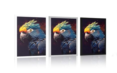 PLAKAT PLAVO-ZLATNA PAPIGA - VLADARI ŽIVOTINJSKOG CARSTVA - PLAKATI