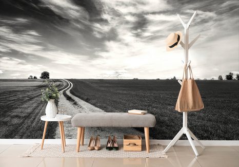 FOTOTAPETA ČERNOBÍLÁ ČAROKRÁSNÁ KRAJINA - ČERNOBÍLÉ TAPETY - TAPETY