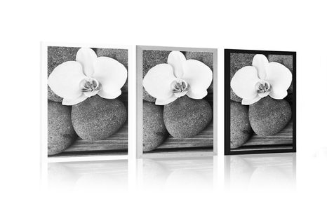 POSTER WELLNESS-STEINE UND ORCHIDEE AUF HÖLZERNEM HINTERGRUND IN SCHWARZ-WEISS - SCHWARZ-WEISS - POSTER